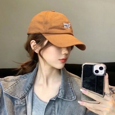 案中案